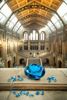 The Ostro Stone being at the Natural History Museum where it is currently being displayed