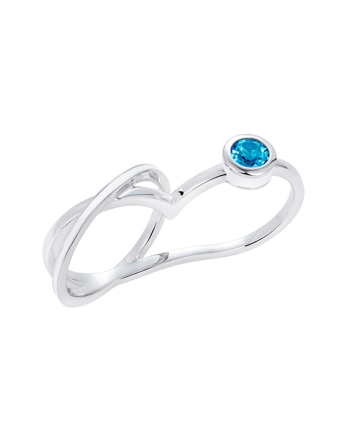 'Two-of-a-Kind' Double Ring